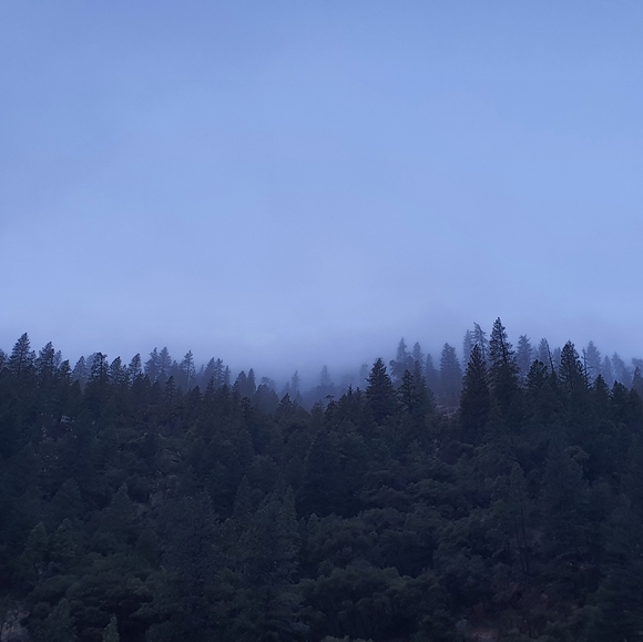 Meet your Posher, Chris - Picture 3 of 8